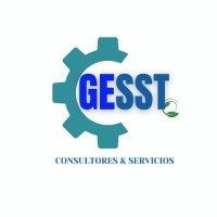 GESST Seguridad y Salud en el Trabajo