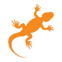 💎💎💎 MoneyGecko - Professionelle Posts automatisiert für LinkedIn &Co. - www.moneygecko.ch