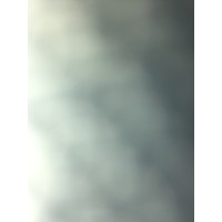 Intentionally Scrubbed By Author