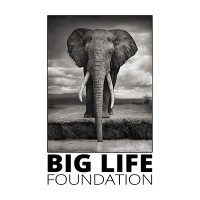 Big Life Foundation