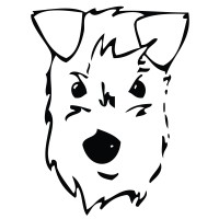 Peten Koiratarvike Oy