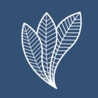 Digital Shape Technologies