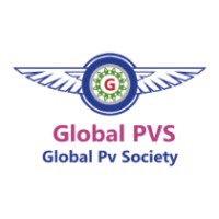 Global Pharmacovigilance Society