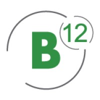 B12 Consulting