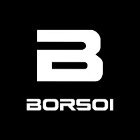 Borsoi srl