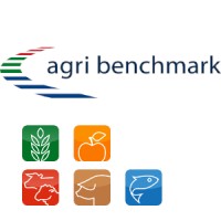 agri benchmark