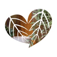 Waterdrinker Aalsmeer