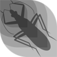 NABiS - Nordic Academy of Biodiversity and Systematic Studies