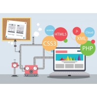 Web Design Agency USA