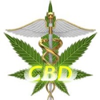 CBD OIL BENEFITS and Life Style Opportunities