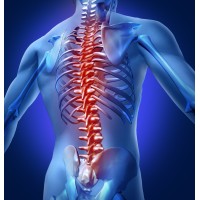 Excel Rehabilitation Services