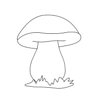 Alegri Società Agricola Srl