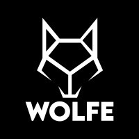 Wolfe Recruitment Group