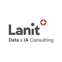LANIT Consulting