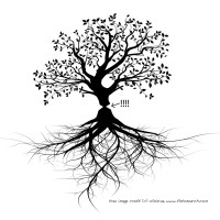 Making Permaculture Stronger