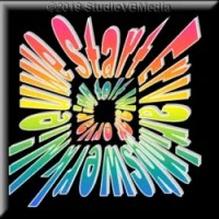 NSE ambulante begeleiding