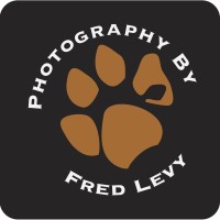 Fred Levy Photography