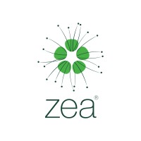 Zea