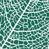 Fresh Ventures Studio