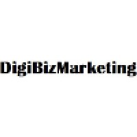 DigiBizMarketing Google SEO Data Analytics Digital Media & Hiring CMS SMM Marketing Consulting