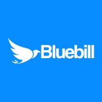 Bluebill