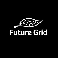 Future Grid