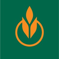 The Culinary Institute of America