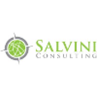Salvini Consulting