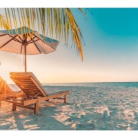 Elevation Consulting Group