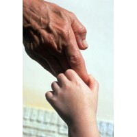 Mirchandanis Career Placements India