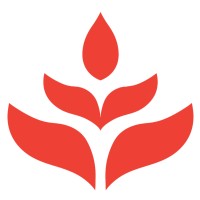 Empowering the Vision Project