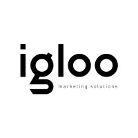 Igloo - Award-Winning Digital Marketing Agency