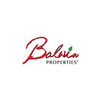 Balwin Properties