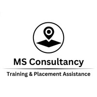 MS Consultancy Training and Placement Assistance