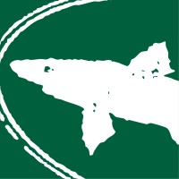 Dogfish Head