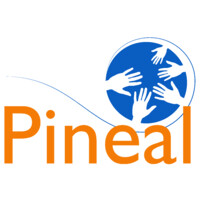 Pineal Consultores