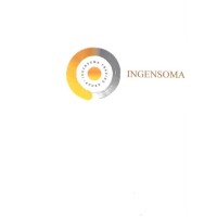 Ingensoma Trading Group
