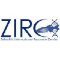 Zebrafish International Resource Center (ZIRC)