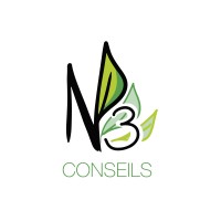 NP3 Conseils - Coaching I Consulting I Payroll