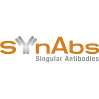 SYnAbs