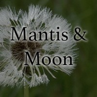 Mantis & Moon