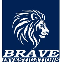 Brave Investigations