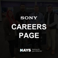 Sony Promoters Career Page
