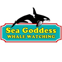 Sea Goddess Whale Watching