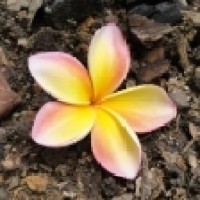 Garden City Therapy LCSW | Anxiety & Depression Help | Many Insurance Plans Accepted