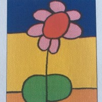 Flowering Shrubs Nursery