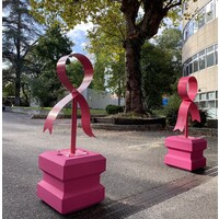 Clinique Tivoli Ducos