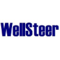 WellSteer Oilfield Technology Services Limited