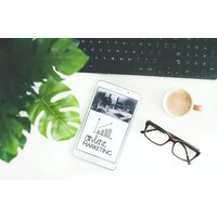 Shine Object Director