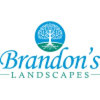 Brandon's Landscapes